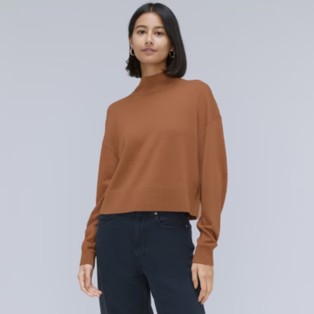 Everlane The Luxe Merino Turtleneck XS Tawny Brown